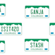 Illustration for article titled Colorado Auctions Off Weed-Themed License Plates To Make Some Green For A Good Cause